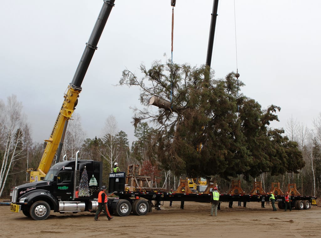Christmas Tree, Trucking's Image Make Way to Capitol for Holidays ...