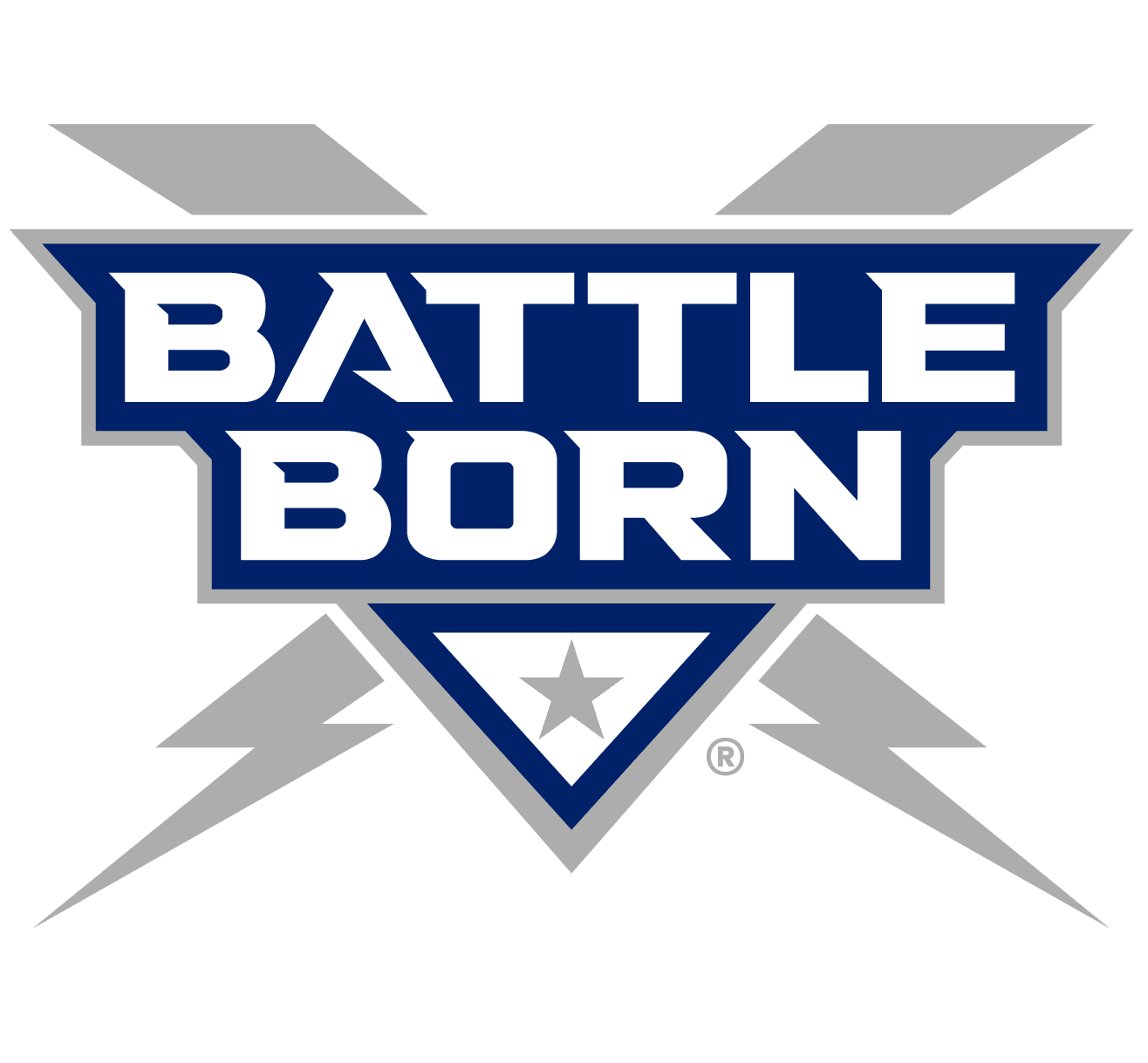 Battle Born Batteries (Powered by Dragonfly Energy)