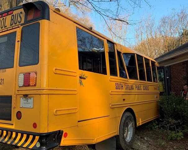 School Bus Driver Avoids Hitting Squirrels, Crashes Into Tree, House ...