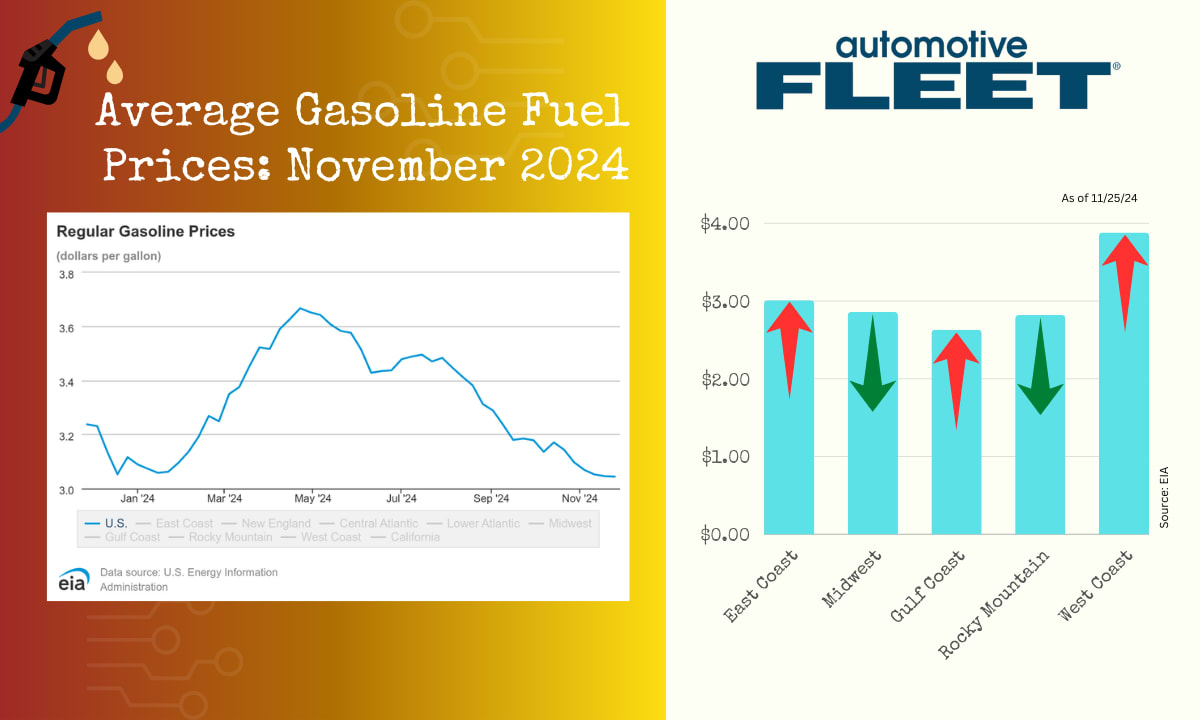 November 2024 Fuel Price Update: Slight Regional Shifts Ahead of ...