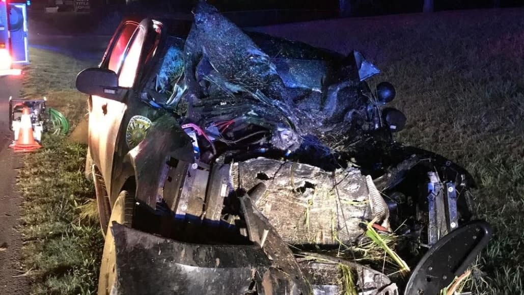AL Deputy, K-9 Injured in Crash after Hitting Bull on Highway | Police ...