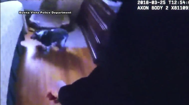 Video: Virginia Officer Rescues Family, Dog from House Fire | Police ...