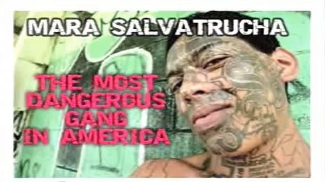 Gang Intel for Officers: MS-13 | Police Magazine
