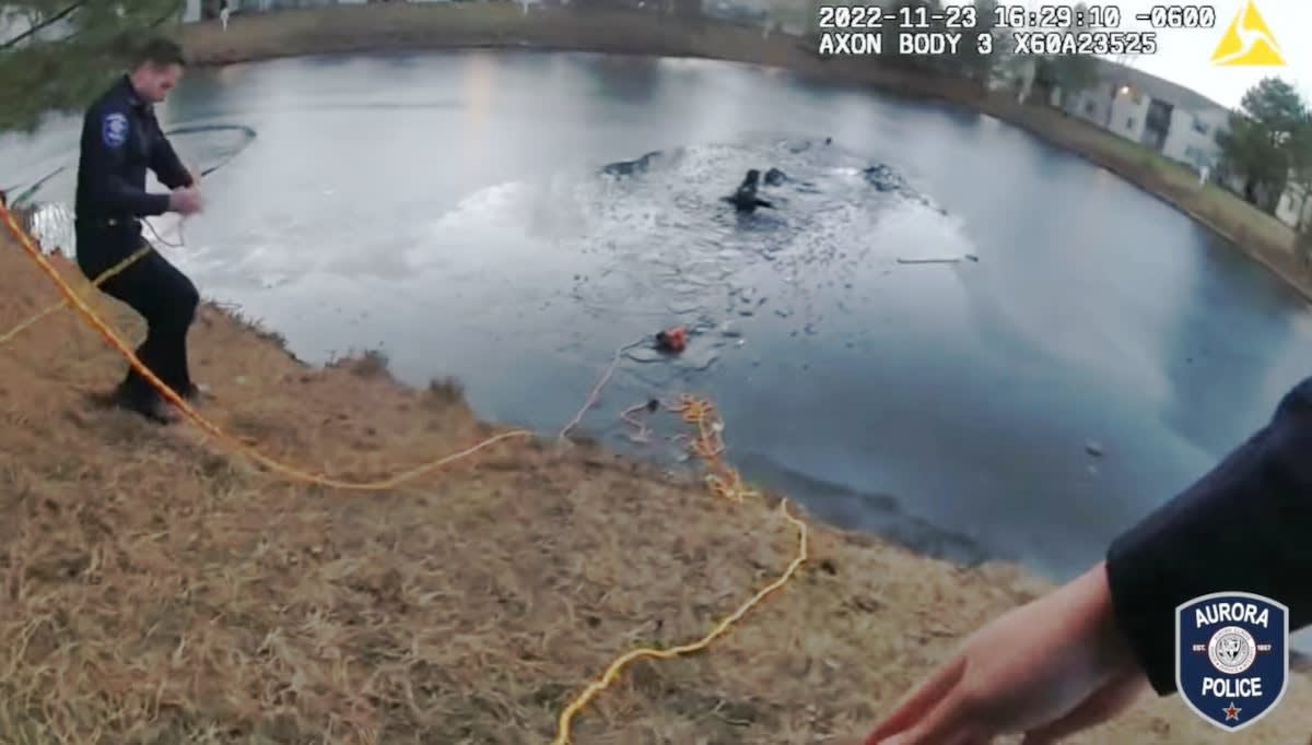 BWC Video Shows IL Officers Rescue Child Who Fell Through Ice | Police ...