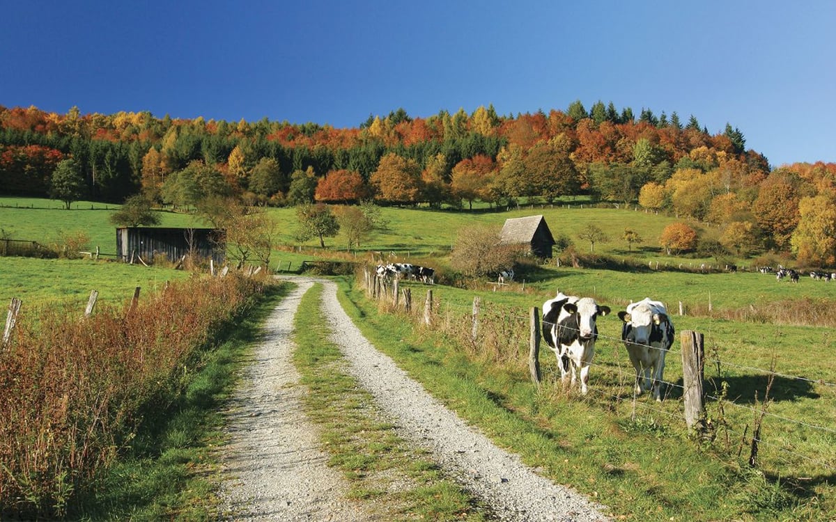 Let’s Not Pave the F&I Cow Path | Agent Entrepreneur